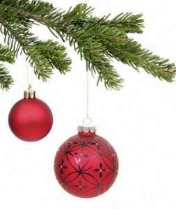 ChristmasTreeCare300x355 ChristmasTreeCare300x355